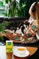 Herbaty zielone aromatyzowane - Dilmah Green Tea with Lemon [20x1,5g] - Zielona herbata z aromatem cytryny 20 torebek ekspresowych 1,5g z zawieszką 2
