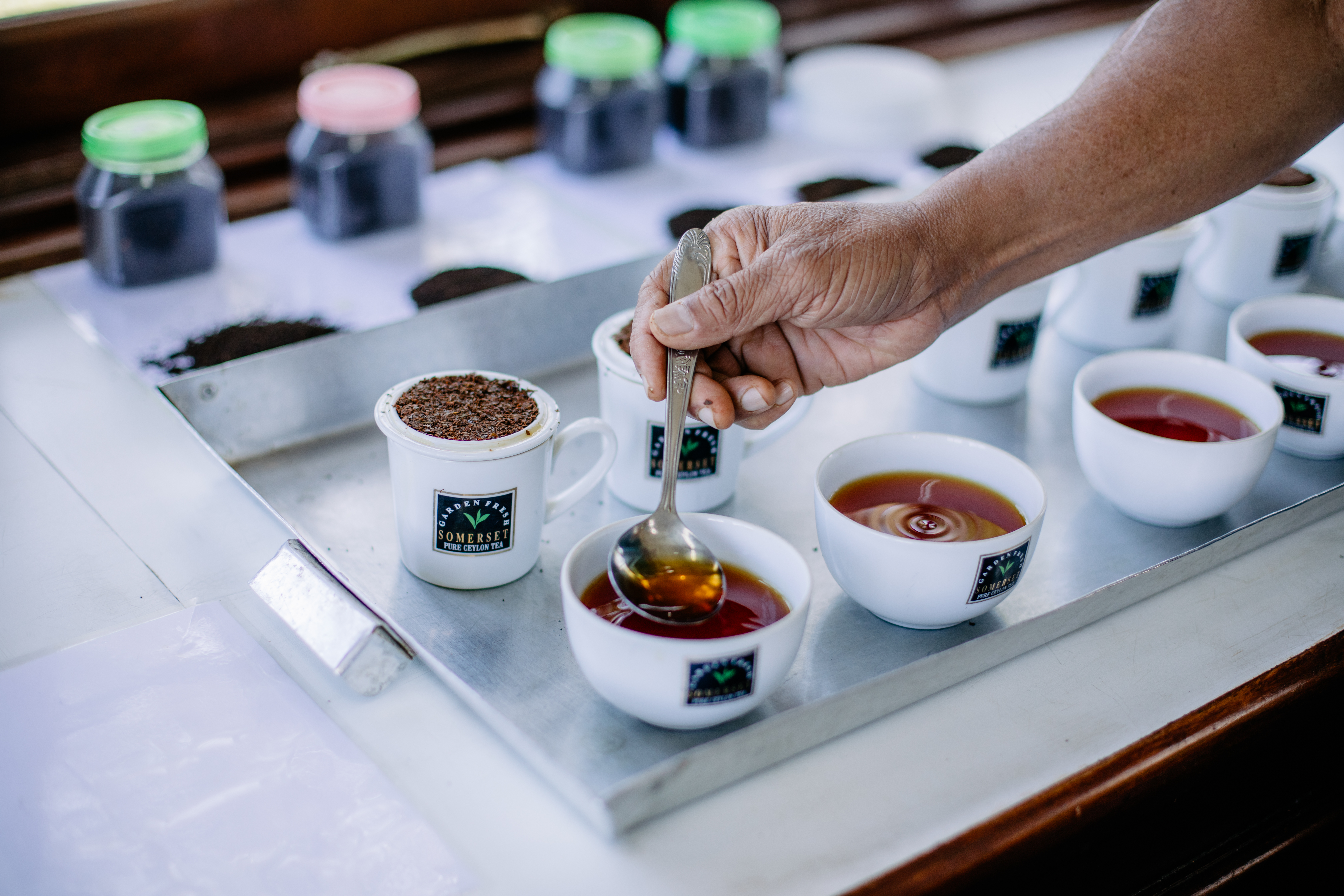 Profesjonalny cupping herbat.